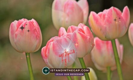 Freed from Oppression: A Daily Devotional (Acts 10:38)