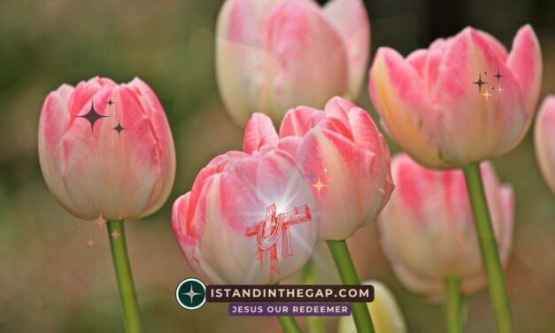 Freed from Oppression: A Daily Devotional (Acts 10:38)