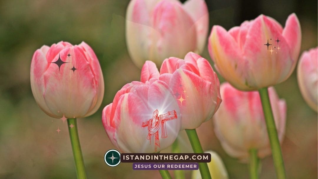 Freed from Oppression: A Daily Devotional (Acts 10:38)