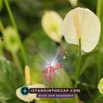 Fruitful in Age: A Daily Devotional (Psalm 92:14)