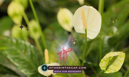 Fruitful in Age: A Daily Devotional (Psalm 92:14)