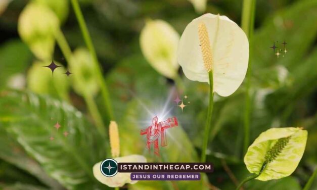 Fruitful in Age: A Daily Devotional (Psalm 92:14)