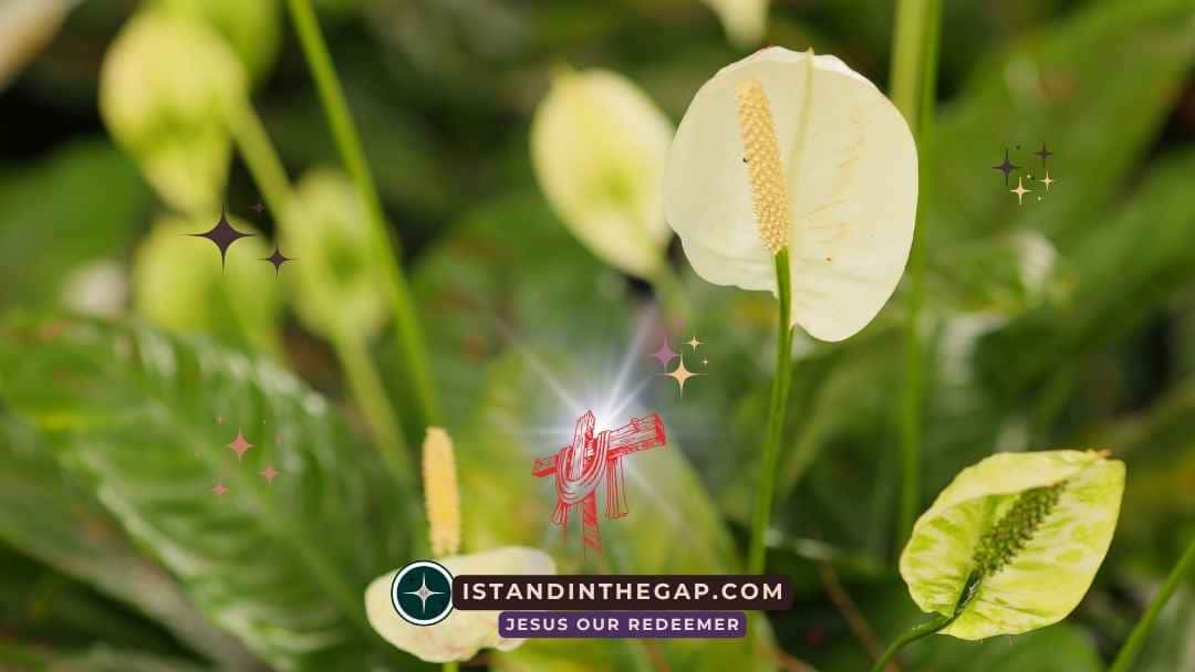 Fruitful in Age: A Daily Devotional (Psalm 92:14)