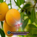 Fruitful in Every Season: A Daily Devotional (John 15:8)