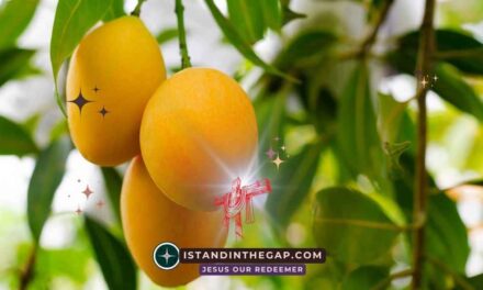 Fruitful in Every Season: A Daily Devotional (John 15:8)