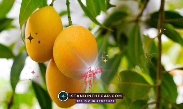 Fruitful in Every Season: A Daily Devotional (John 15:8)