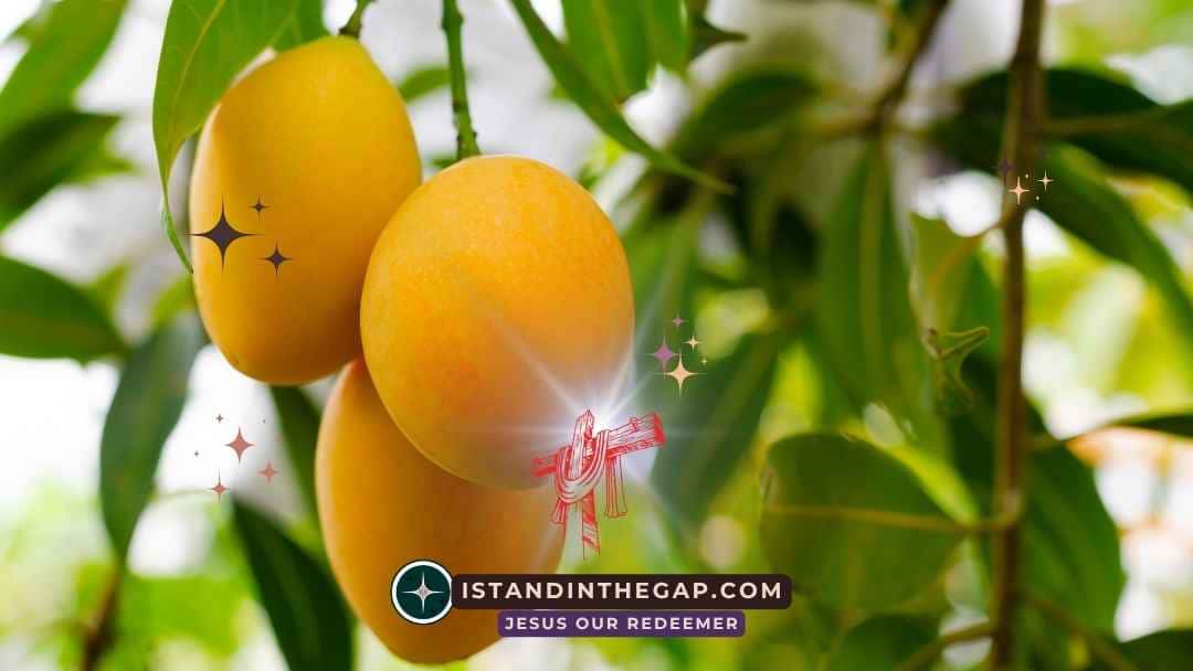 Fruitful in Every Season: A Daily Devotional (John 15:8)
