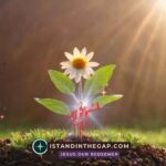 Generational Safety: A Daily Devotional (Esther 9:28)