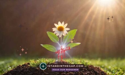 Generational Safety: A Daily Devotional (Esther 9:28)