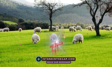 Pasture of Peace: A Daily Devotional (Psalm 95:7)