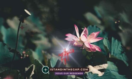 Special Grace Awaits: A Daily Devotional (2 Peter 1:2)