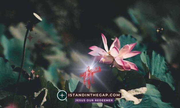 Special Grace Awaits: A Daily Devotional (2 Peter 1:2)