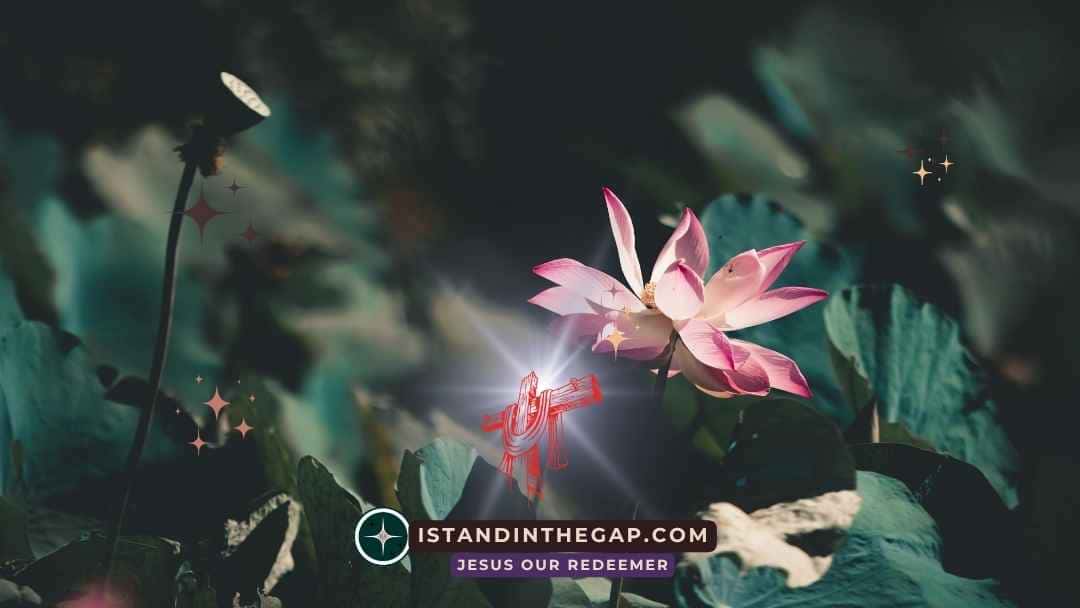 Special Grace Awaits: A Daily Devotional (2 Peter 1:2)