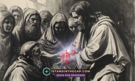 Touched by Jesus: A Daily Devotional (Matthew 8:3)