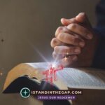 Hidden in Holiness: A Daily Devotional (Psalm 93:5)
