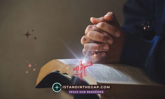 Hidden in Holiness: A Daily Devotional (Psalm 93:5)