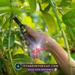 Pruned to Produce: A Daily Devotional (John 15:2)