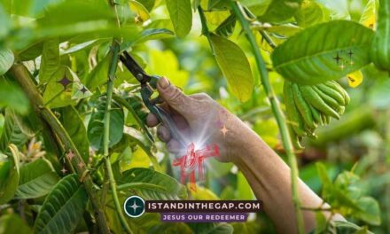 Pruned to Produce: A Daily Devotional (John 15:2)