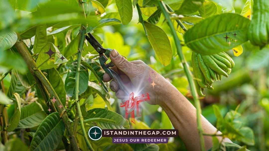 Pruned to Produce: A Daily Devotional (John 15:2)