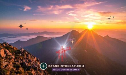 The Ark Honored: A Daily Devotional (1 Chronicles 13:14)