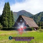 Go Up and Build: A Daily Devotional (Haggai 1:8)