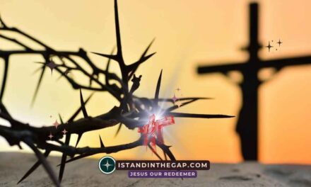 God Heals Every Scar: A Daily Devotional (Psalm 129:3)