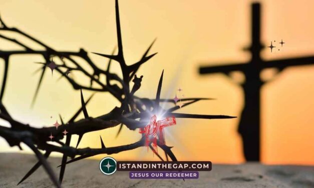 God Heals Every Scar: A Daily Devotional (Psalm 129:3)