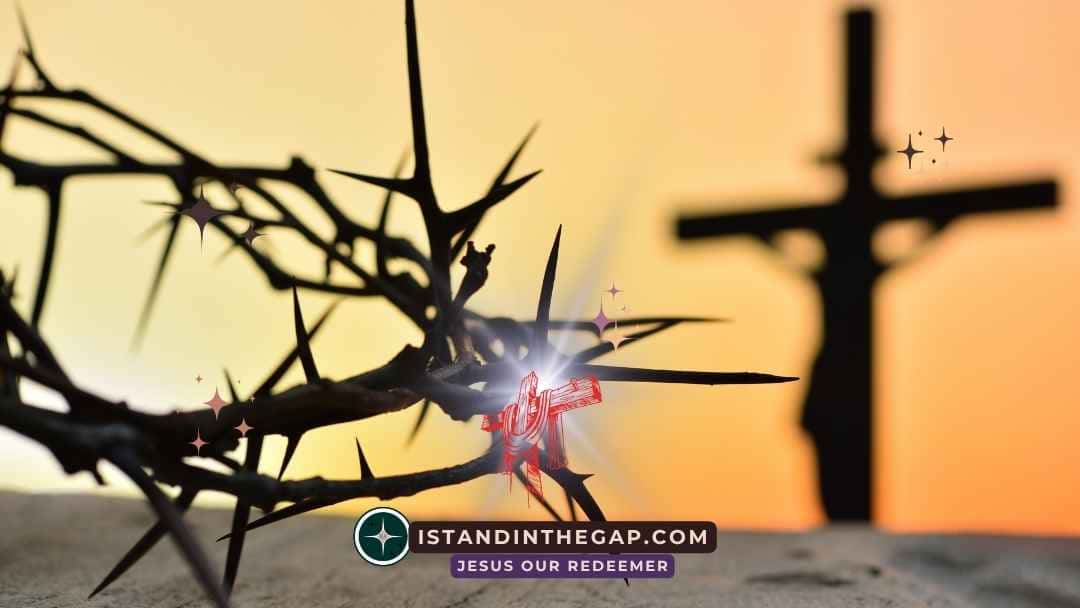 God Heals Every Scar: A Daily Devotional (Psalm 129:3)