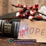 Hope Against Hope: A Daily Devotional (Romans 4:18)