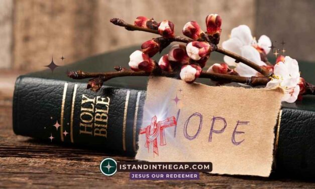 Hope Against Hope: A Daily Devotional (Romans 4:18)