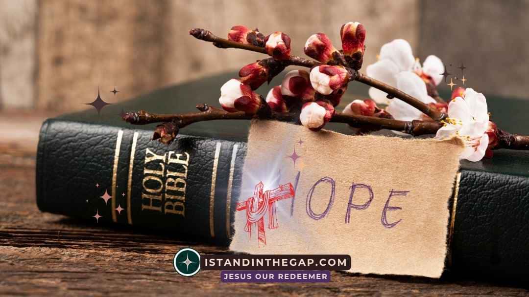 Hope Against Hope: A Daily Devotional (Romans 4:18)