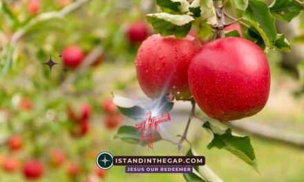 Naked Without Shame: A Daily Devotional (Genesis 2:25)