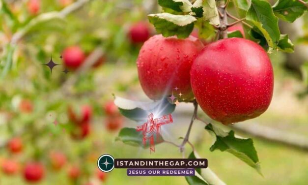 Naked Without Shame: A Daily Devotional (Genesis 2:25)