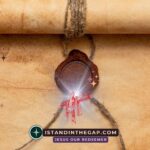 Seal Up the Scroll: A Daily Devotional (Daniel 12:4)