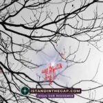 Where Is Their God: A Daily Devotional (Psalm 115:2)