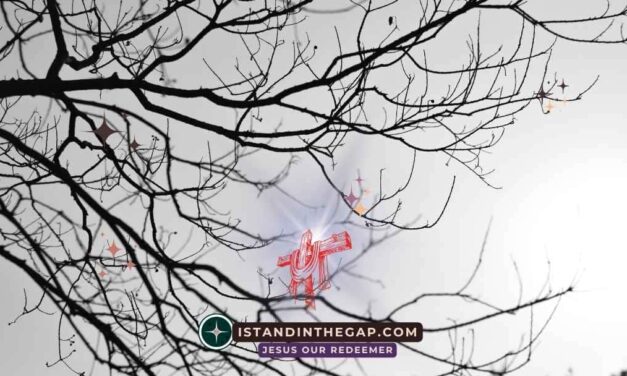 Where Is Their God: A Daily Devotional (Psalm 115:2)