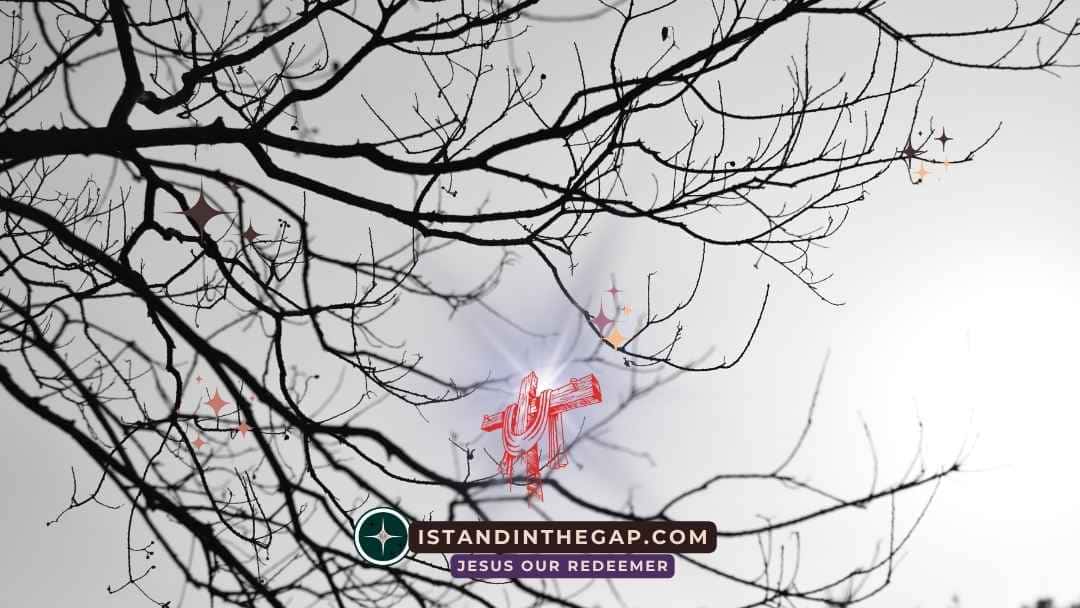 Where Is Their God: A Daily Devotional (Psalm 115:2)