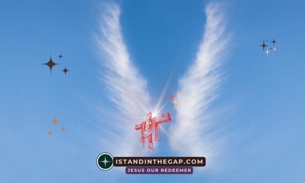 Wings of Safety: A Daily Devotional (Psalm 91:4)