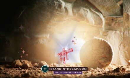 Your Redeemer Lives: A Daily Devotional (Job 19:25)