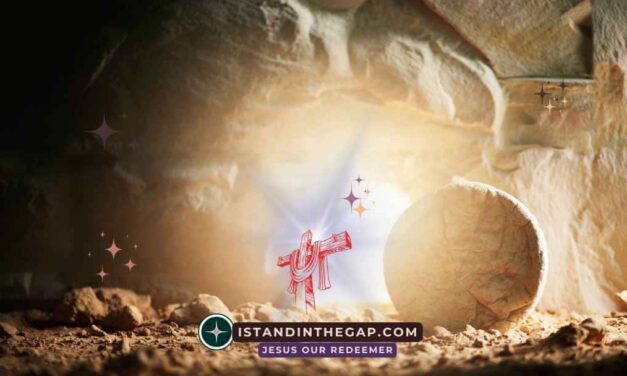 Your Redeemer Lives: A Daily Devotional (Job 19:25)