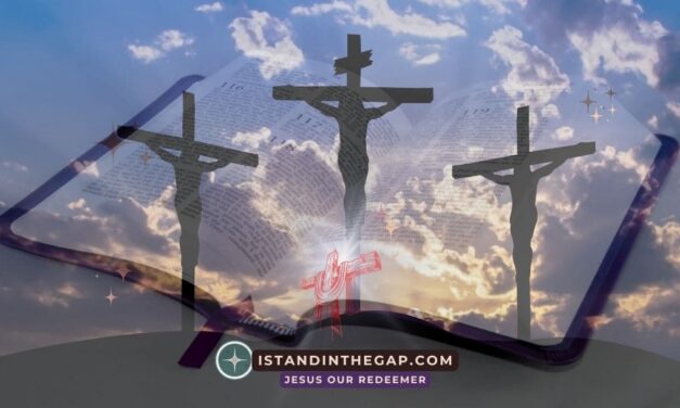 Abiding Word: A Daily Devotional (John 1:14)
