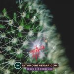 Hidden Dangers: A Daily Devotional (Jude 1:12)