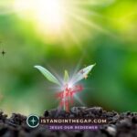 Hoping And Trusting: A Daily Devotional (Romans 15:13)
