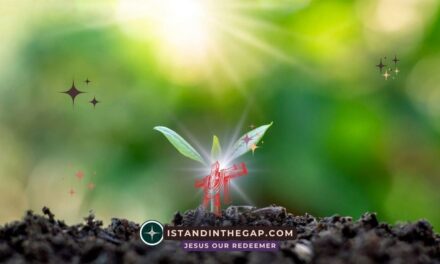 Hoping And Trusting: A Daily Devotional (Romans 15:13)