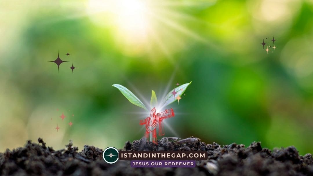 Hoping And Trusting: A Daily Devotional (Romans 15:13)