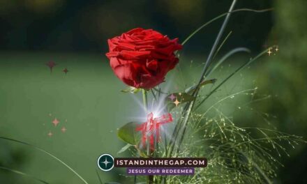 Kingdom Loyalty: A Daily Devotional (Matthew 6:24)