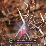 Unseen Restraint: A Daily Devotional (Numbers 22:12)