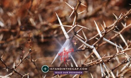 Unseen Restraint: A Daily Devotional (Numbers 22:12)