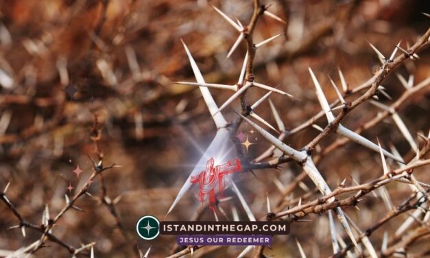 Unseen Restraint: A Daily Devotional (Numbers 22:12)