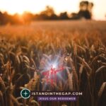 Your Harvest Is Coming: A Daily Devotional (Galatians 6:9)